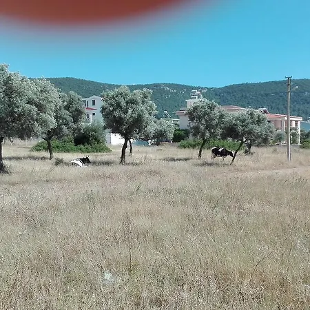 Yakut Villa Akbük